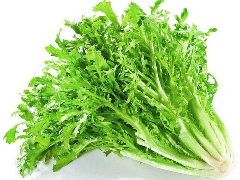 食材配送從生產(chǎn)、采摘再到蔬菜配送無縫銜接